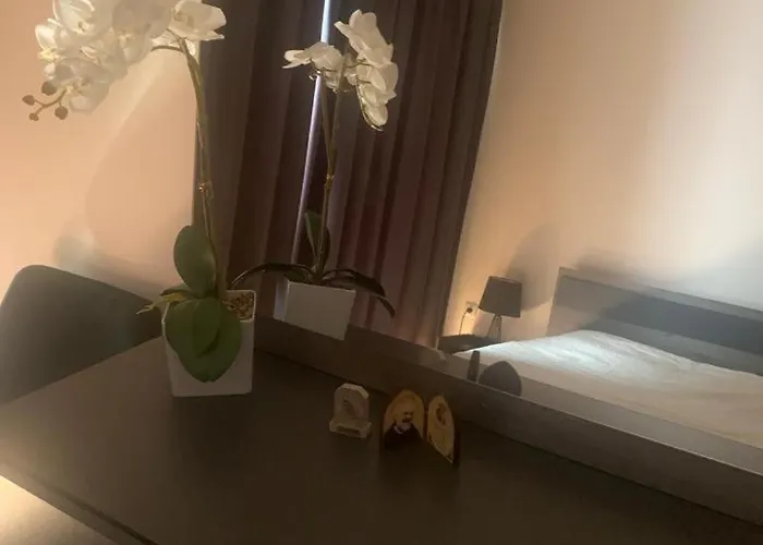 Helios Complex, 圣弗拉斯